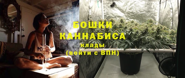 2c-b Богородицк