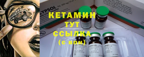 2c-b Богородицк