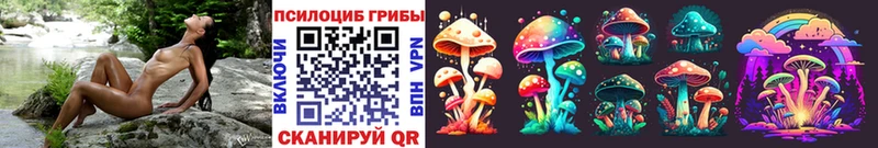 Галлюциногенные грибы мицелий  мега зеркало  Котельниково 